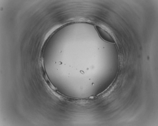 X0000072491141200608041409