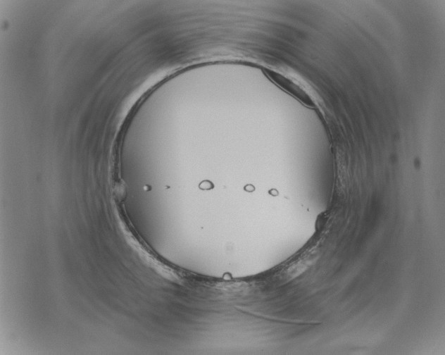 X0000072491142200608041409