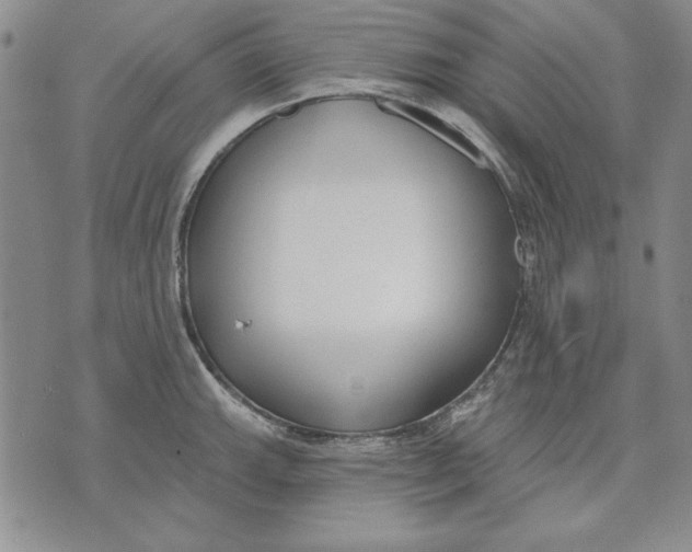 X0000072491143200608041409