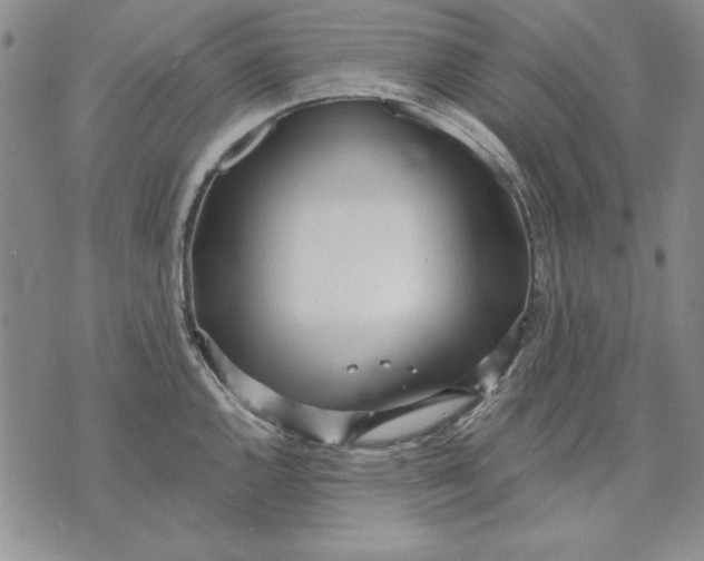 X0000072491144200608041409