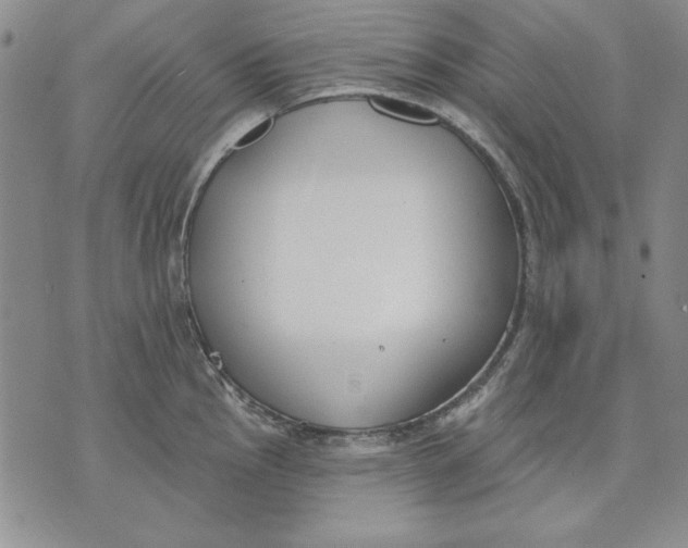 X0000072491145200608041409