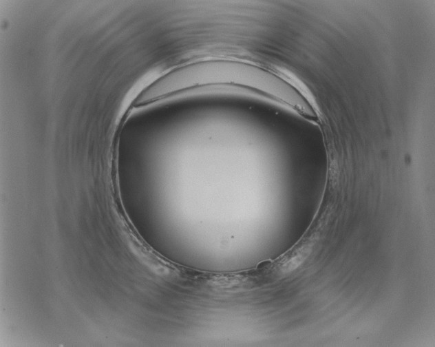 X0000072491146200608041409