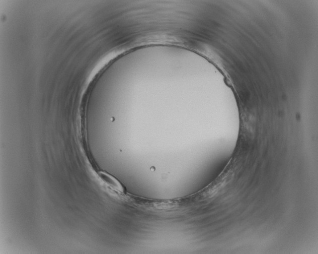 X0000072491147200608041409