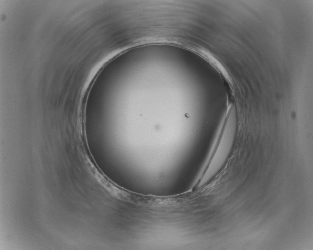 X0000072491148200608041409