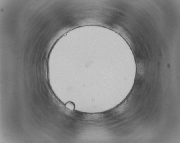 X0000072491150200608041409