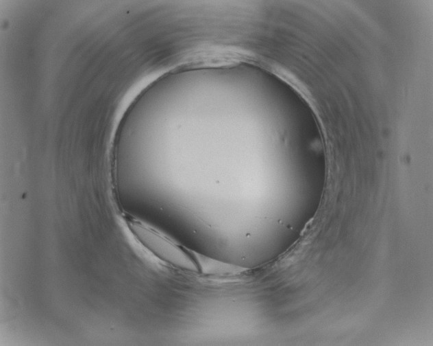 X0000072491152200608041409