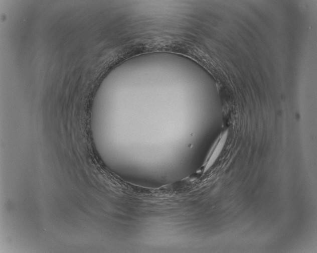 X0000072491153200608041409