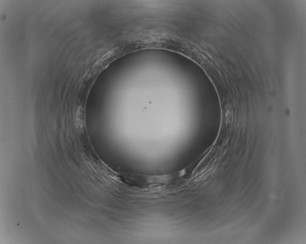 X0000072491156200608041409