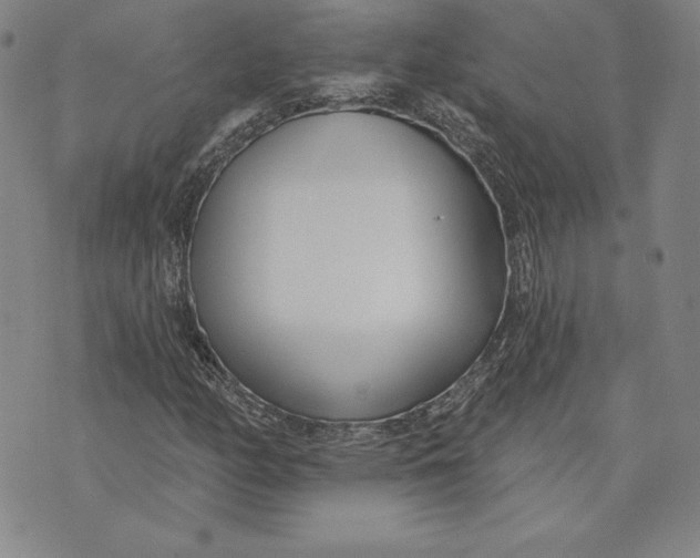 X0000072491158200608041409