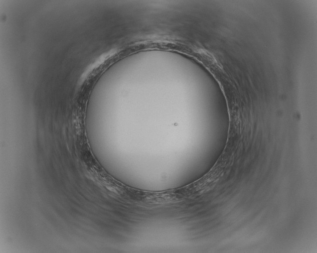 X0000072491159200608041409