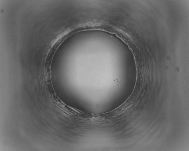 X0000072491160200608041409