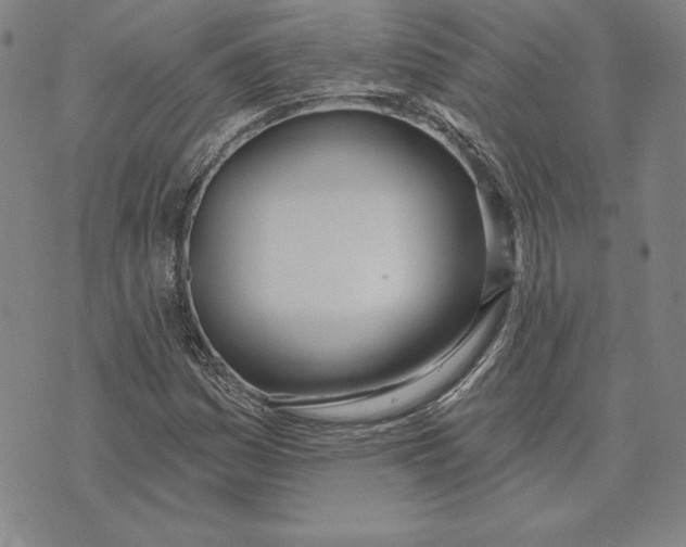 X0000072491161200608041409