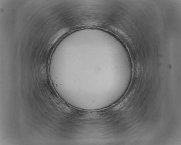 X0000072491162200608041409