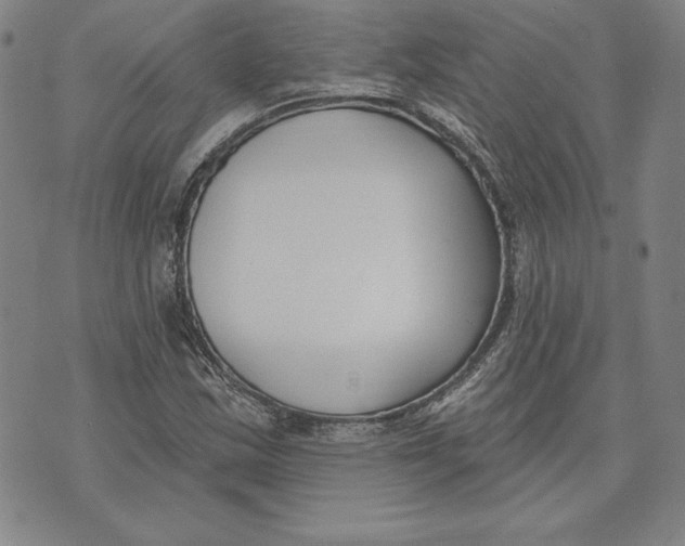 X0000072491163200608041409