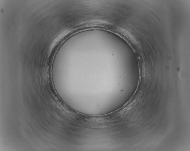 X0000072491164200608041409