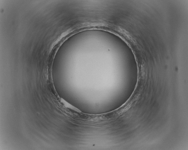 X0000072491165200608041409