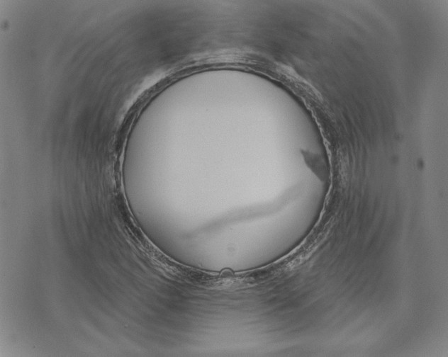 X0000072491166200608041408