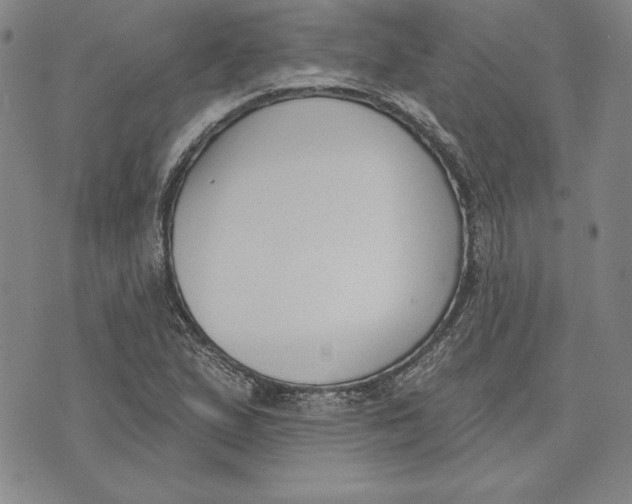 X0000072491167200608041408