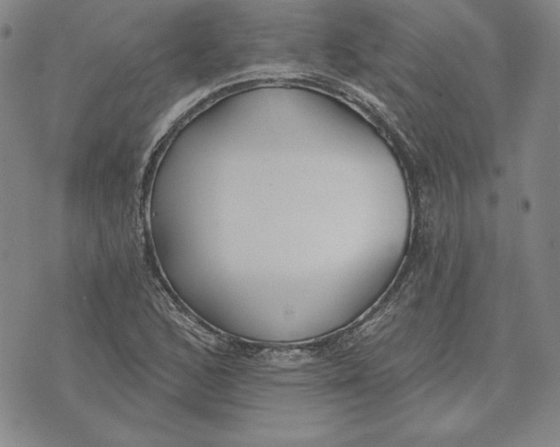 X0000072491168200608041408