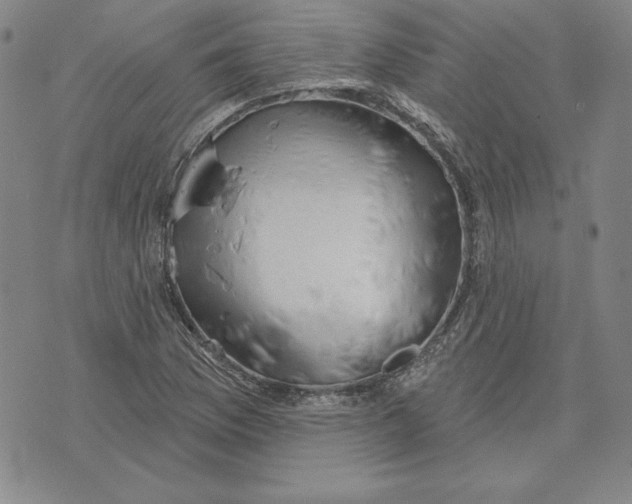 X0000072491169200608041408