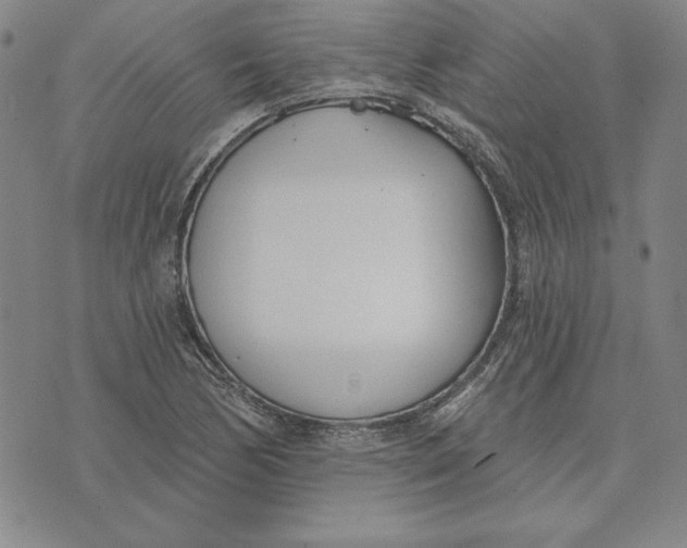 X0000072491170200608041408