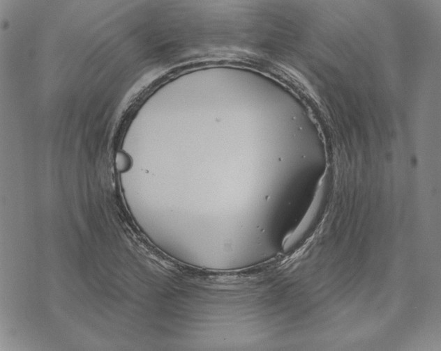 X0000072491172200608041408