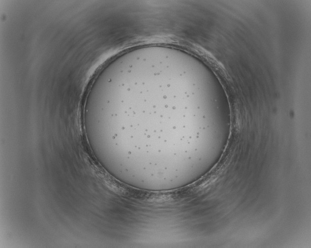 X0000072491174200608041408