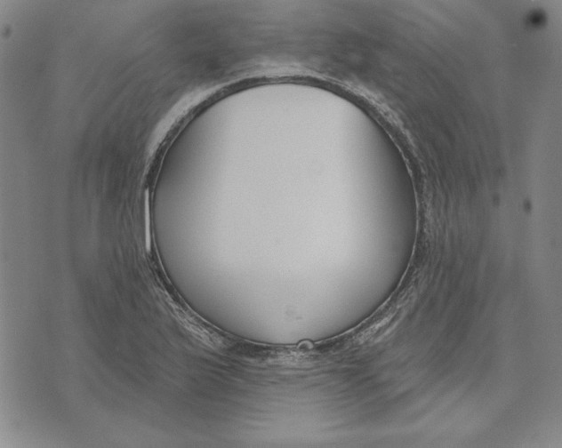 X0000072491175200608041408