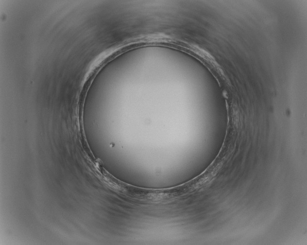 X0000072491176200608041408