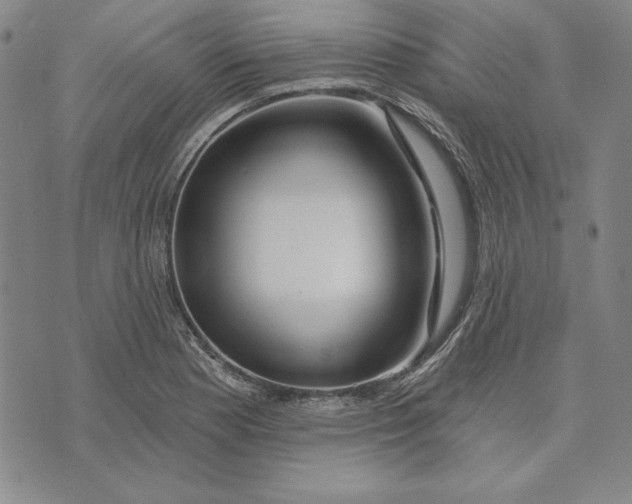 X0000072491177200608041408