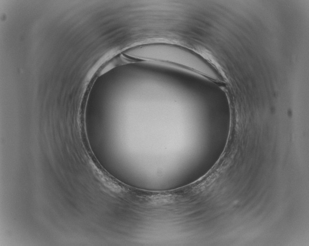 X0000072491181200608041408