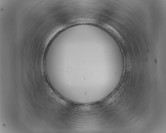 X0000072491182200608041408