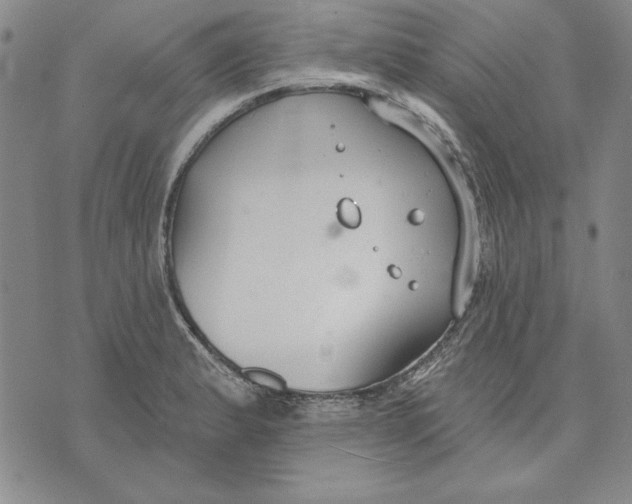 X0000072491183200608041408