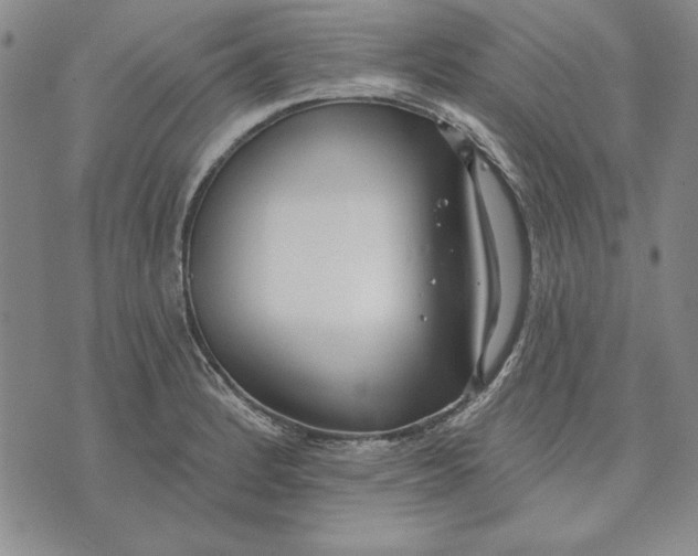 X0000072491184200608041408