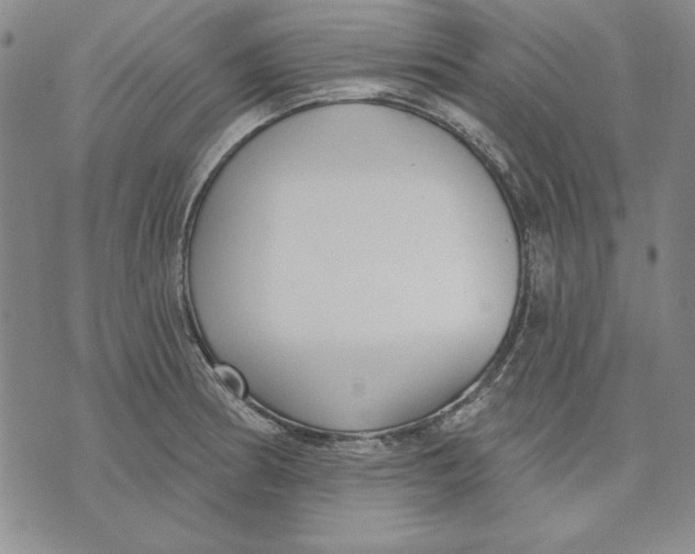 X0000072491186200608041408