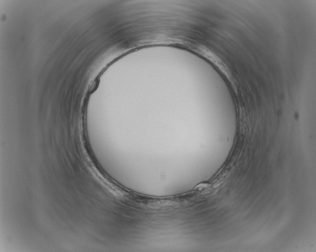 X0000072491187200608041408