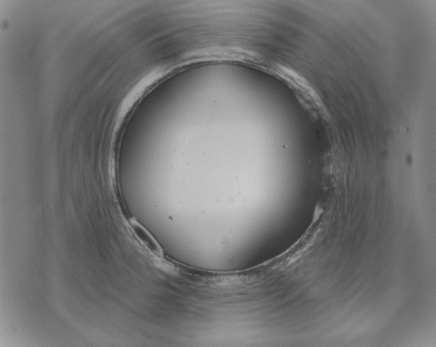 X0000072491188200608041408