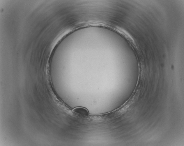 X0000072491190200608041408