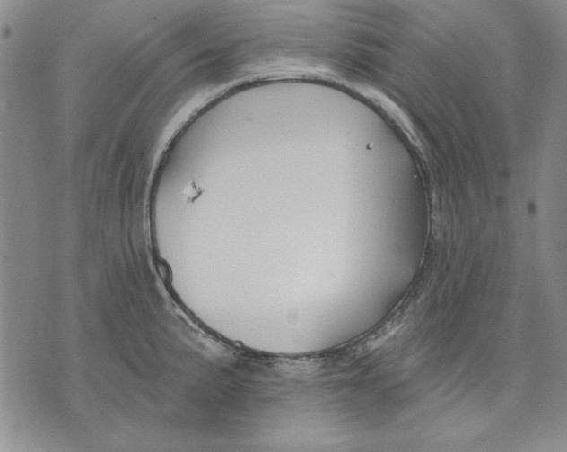 X0000072491191200608041408