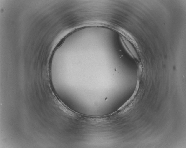 X0000072491192200608041408