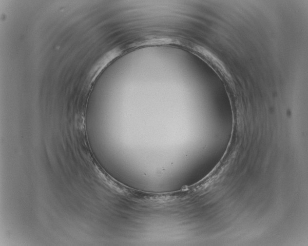 X0000072491193200608041408