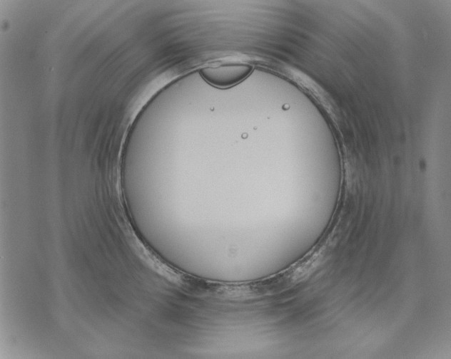 X0000072491194200608041408