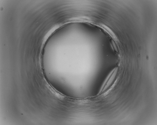 X0000072491196200608041408