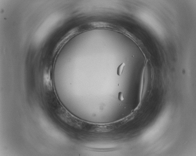 X0000072491198200608041408