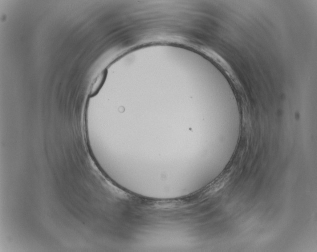 X0000072491199200608041408