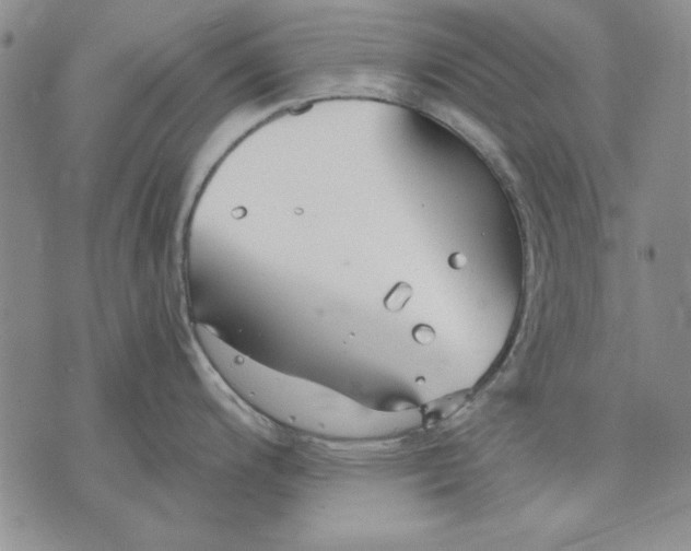 X0000072491200200608041408