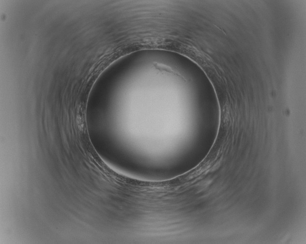 X0000072491202200608041407