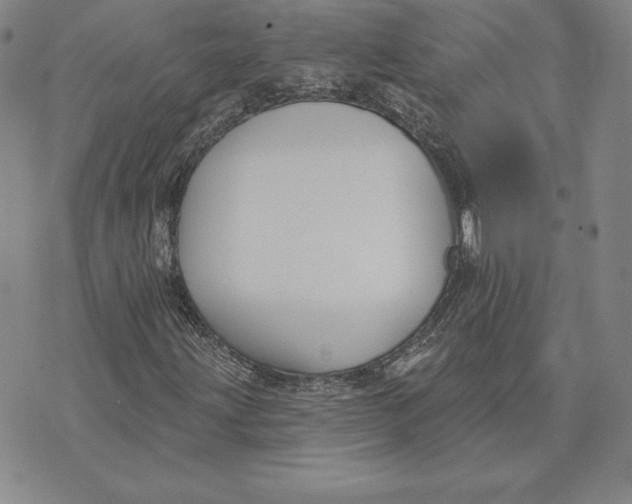 X0000072491203200608041407