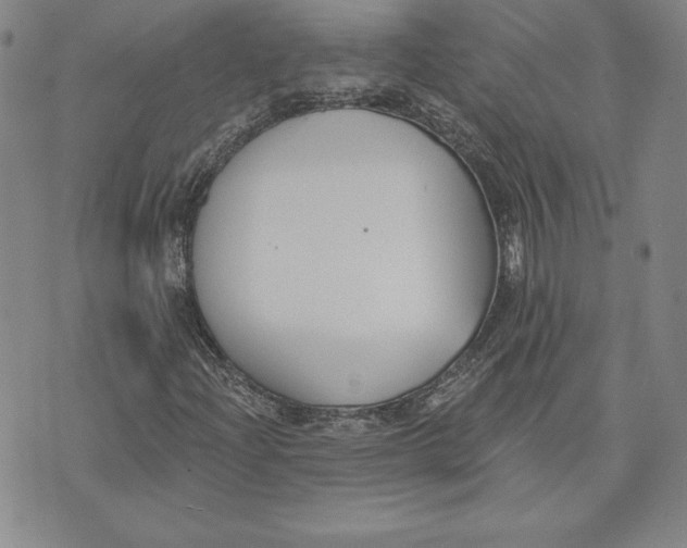 X0000072491204200608041407