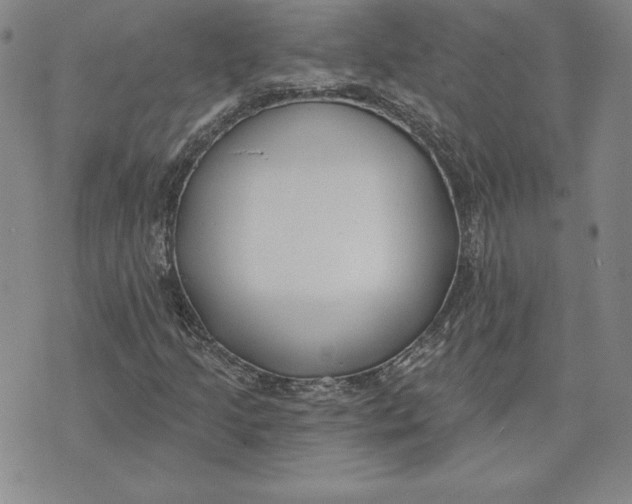 X0000072491205200608041407